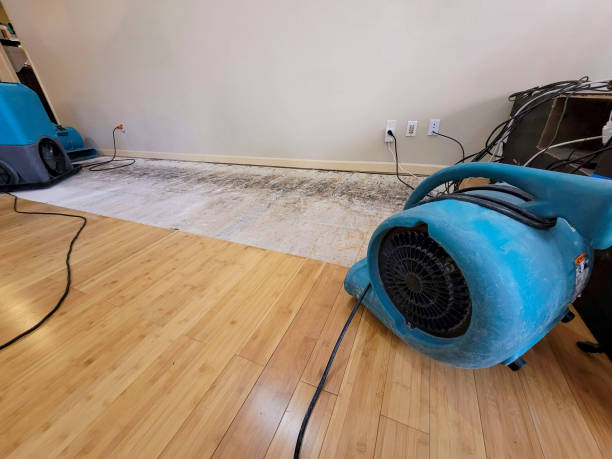 Reliable Basement Flood Cleanup contractor in Van, TX by Hirex Water Damage