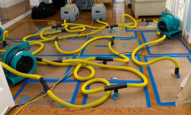 Professional Basement Flood Cleanup technician working in Van, TX